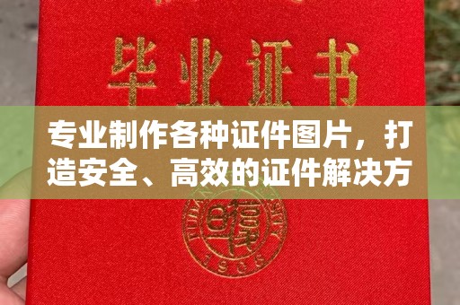 金安专业制作各种证件图片，打造安全、高效的证件解决方案