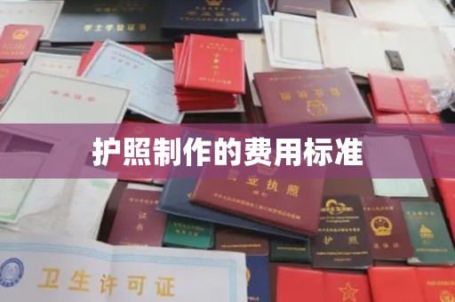 金安护照制作的费用标准