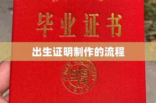 金安出生证明制作的流程
